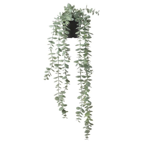 FEJKA - Artificial potted plant, in/outdoor hanging/eucalyptus, 9 cm
