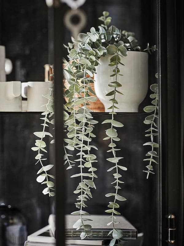 FEJKA - Artificial potted plant, in/outdoor hanging/eucalyptus, 9 cm - best price from Maltashopper.com 70466811