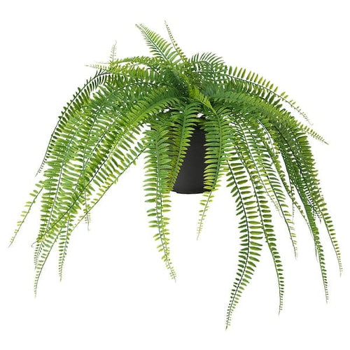 FEJKA - Artificial potted plant, in/outdoor hanging/fern, 12 cm