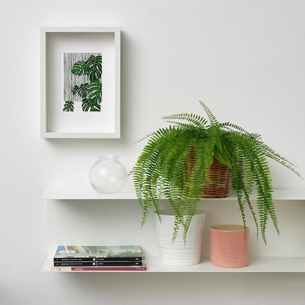 FEJKA - Artificial potted plant, in/outdoor hanging/fern, 12 cm - best price from Maltashopper.com 10548631
