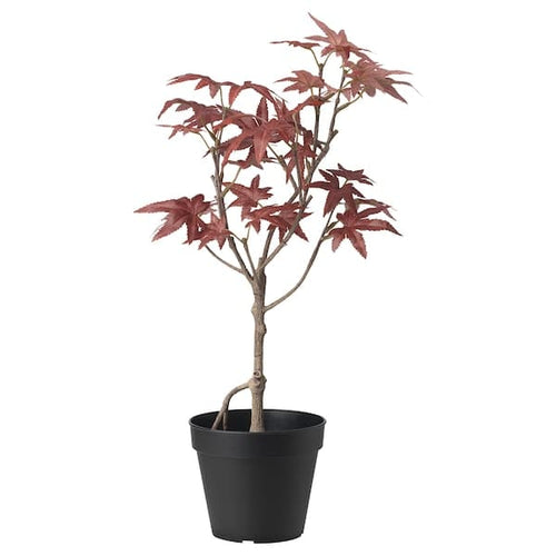 FEJKA - Artificial potted plant, in/outdoor maple, 12 cm