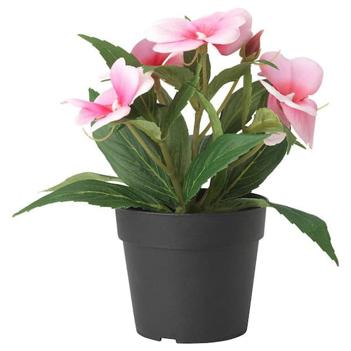 FEJKA artificial potted plant, in/outdoor/balsam pink, 9 cm