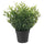 FEJKA artificial potted plant, in/outdoor House bamboo, 9 cm