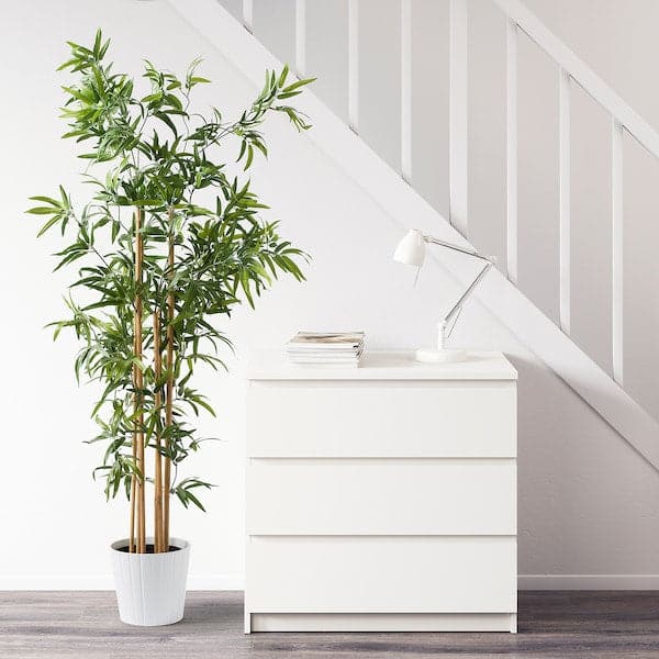 FEJKA - Artificial potted plant, in/outdoor bamboo