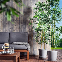 FEJKA - Artificial potted plant, in/outdoor bamboo, 23 cm - best price from Maltashopper.com 10467804