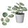 FEJKA artificial potted plant with pot, in/outdoor white/green, 6 cm