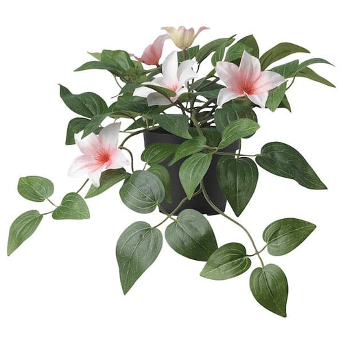 FEJKA - Artificial potted plant, in/outdoor clematis/hanging pink, 12 cm