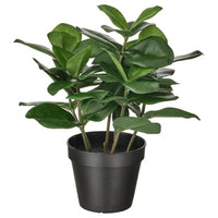 FEJKA - Artificial potted plant, in/outdoor Clusia, 12 cm - best price from Maltashopper.com 70493348