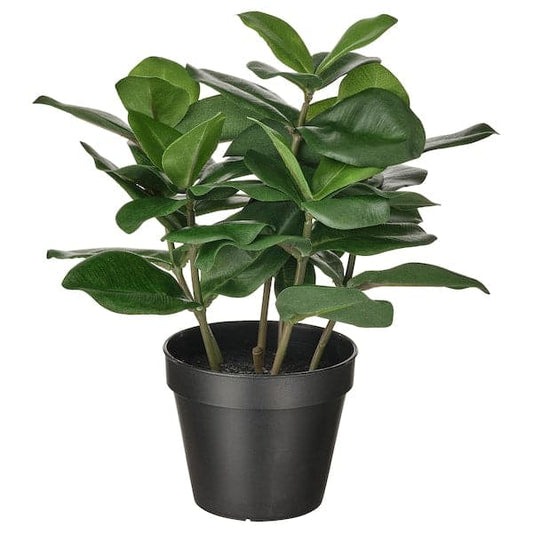 FEJKA - Artificial potted plant, in/outdoor Clusia, 12 cm - best price from Maltashopper.com 70493348