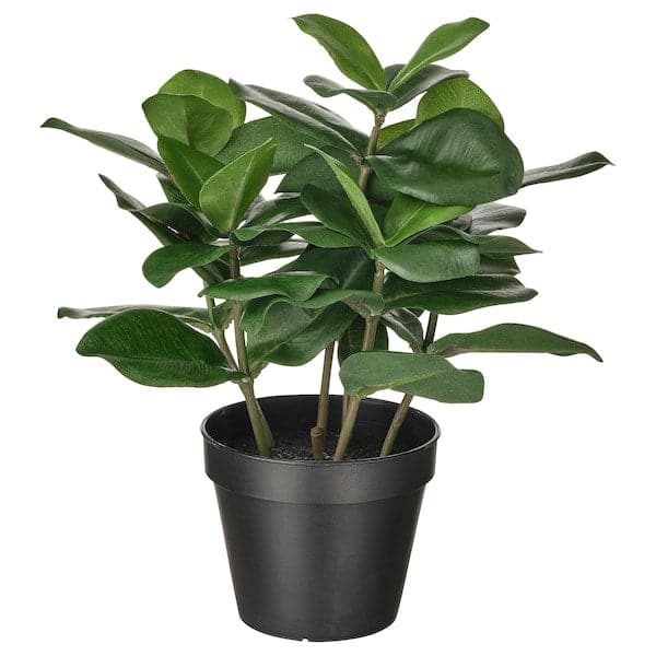 FEJKA - Artificial potted plant, in/outdoor Clusia, 12 cm