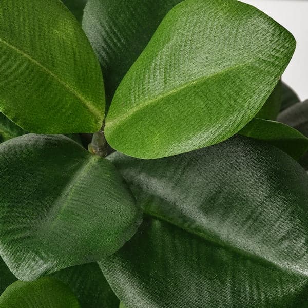 FEJKA - Artificial potted plant, in/outdoor Clusia, 12 cm - best price from Maltashopper.com 70493348