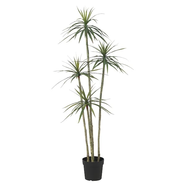 FEJKA - Artificial potted plant, in/outdoor Dracena, 23 cm - best price from Maltashopper.com 50548634