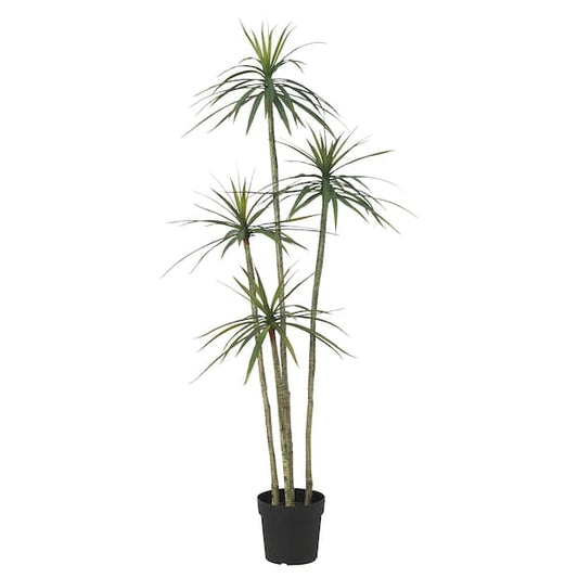 FEJKA - Artificial potted plant, in/outdoor Dracena, 23 cm - best price from Maltashopper.com 50548634
