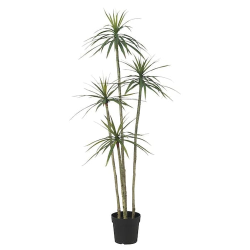 FEJKA - Artificial potted plant, in/outdoor Dracena, 23 cm