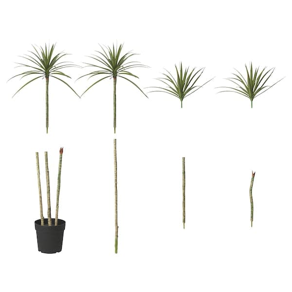 Ikea FEJKA - Artificial potted plant, in/outdoor Dracena, 23 cm