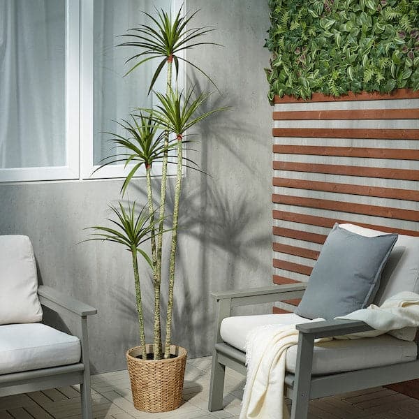 FEJKA - Artificial potted plant, in/outdoor Dracena, 23 cm - best price from Maltashopper.com 50548634