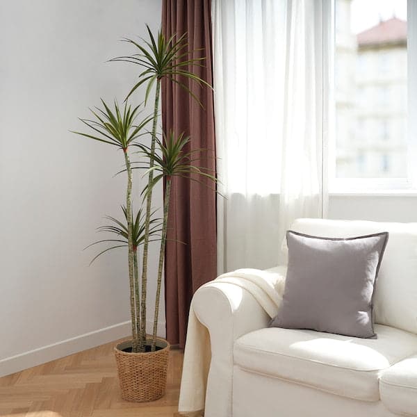 FEJKA - Artificial potted plant, in/outdoor Dracena, 23 cm - best price from Maltashopper.com 50548634