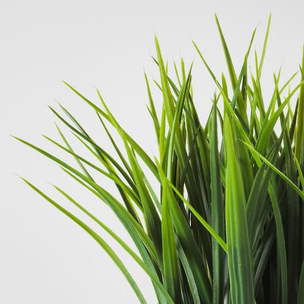 Ikea FEJKA - Artificial potted plant, in/outdoor grass, 9 cm