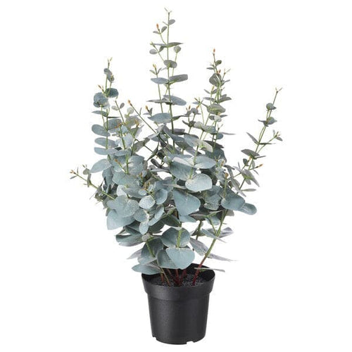 FEJKA - Artificial potted plant, in/outdoor eucalyptus, 15 cm