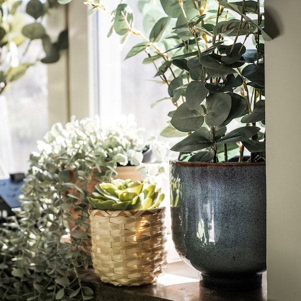 FEJKA - Artificial potted plant, in/outdoor eucalyptus, 15 cm - best price from Maltashopper.com 40452368