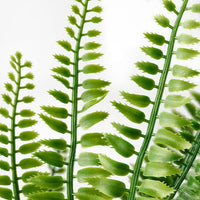 FEJKA - Artificial potted plant, in/outdoor fern, 9 cm - best price from Maltashopper.com 30433945