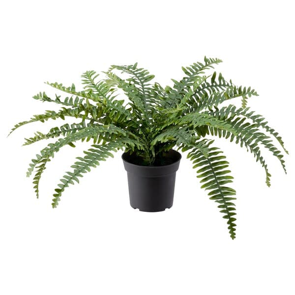 Ikea FEJKA - Artificial potted plant, in/outdoor fern, 15 cm