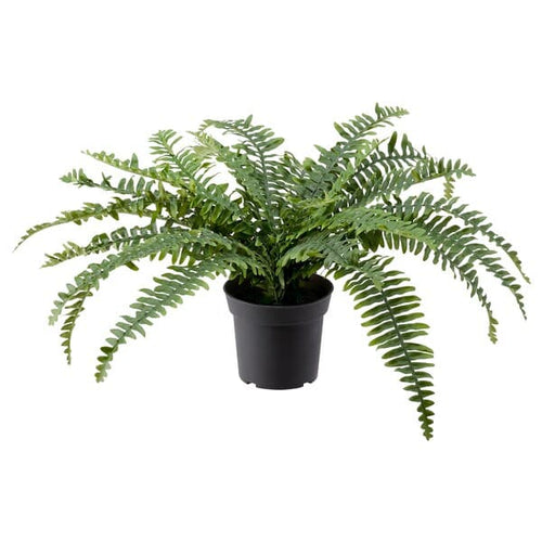 FEJKA - Artificial potted plant, in/outdoor fern, 15 cm