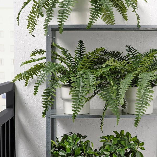 FEJKA - Artificial potted plant, in/outdoor fern, 15 cm - best price from Maltashopper.com 20468450