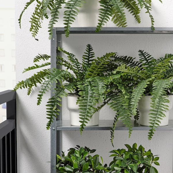 Ikea FEJKA - Artificial potted plant, in/outdoor fern, 15 cm