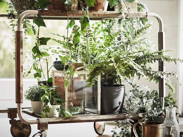 FEJKA - Artificial potted plant, in/outdoor fern, 15 cm - best price from Maltashopper.com 20468450