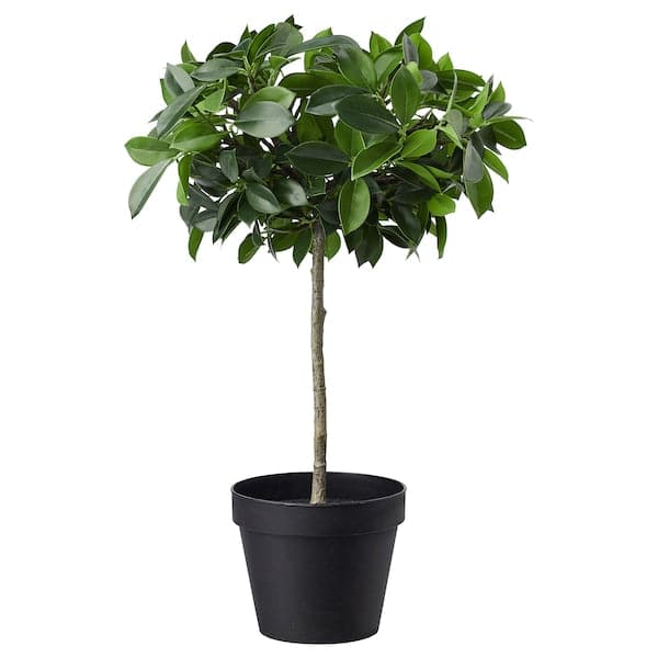 FEJKA - Artificial potted plant, in/outdoor/Weeping fig stem, 12 cm - best price from Maltashopper.com 00395308