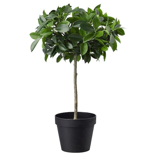FEJKA - Artificial potted plant, in/outdoor/Weeping fig stem, 12 cm - best price from Maltashopper.com 00395308