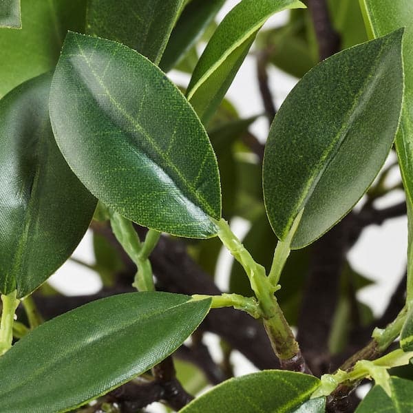 Ikea FEJKA - Artificial potted plant, in/outdoor/Weeping fig stem, 12 cm