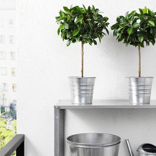 Ikea FEJKA - Artificial potted plant, in/outdoor/Weeping fig stem, 12 cm