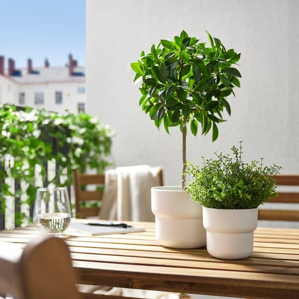 Ikea FEJKA - Artificial potted plant, in/outdoor/Weeping fig stem, 12 cm