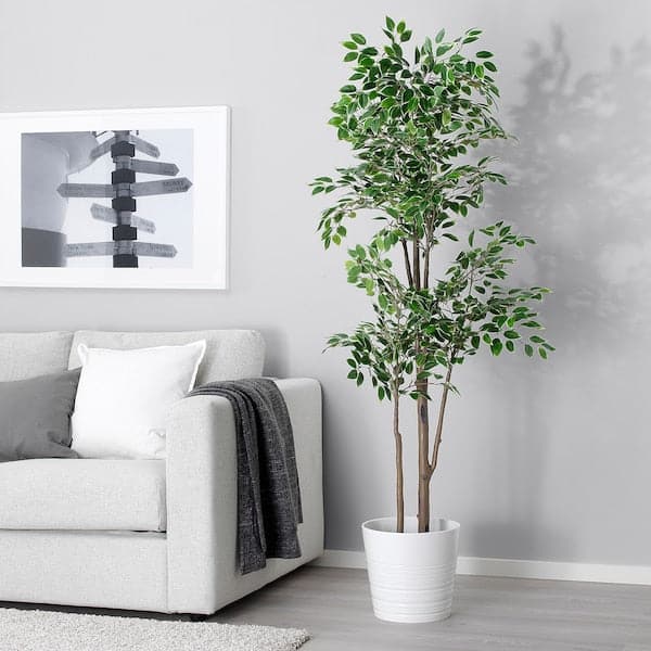FEJKA - Artificial potted plant, in/outdoor Weeping fig, 21 cm - best price from Maltashopper.com 70491575