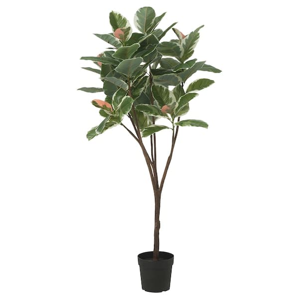 FEJKA - Artificial potted plant, in/outdoor Rubber plant