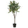 FEJKA artificial potted plant, in/outdoor Rubber plant, 23 cm