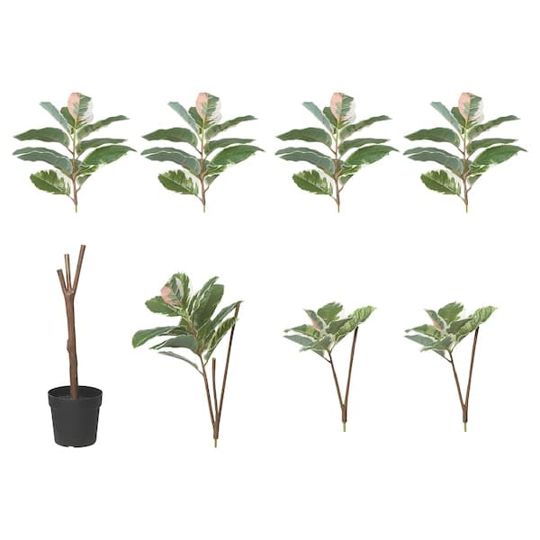 FEJKA - Artificial potted plant, in/outdoor Rubber plant
