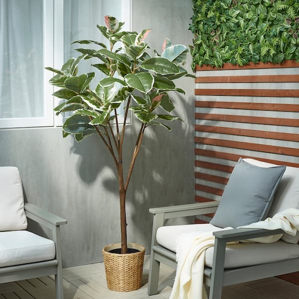 FEJKA - Artificial potted plant, in/outdoor Rubber plant, 23 cm - best price from Maltashopper.com 60548313
