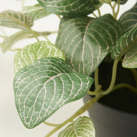 FEJKA - Artificial potted plant, in/outdoor mosaic plant/hanging, 9 cm - best price from Maltashopper.com 40571677