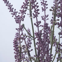 FEJKA - Artificial potted plant, in/outdoor/Lavender lilac, 12 cm - best price from Maltashopper.com 50571691