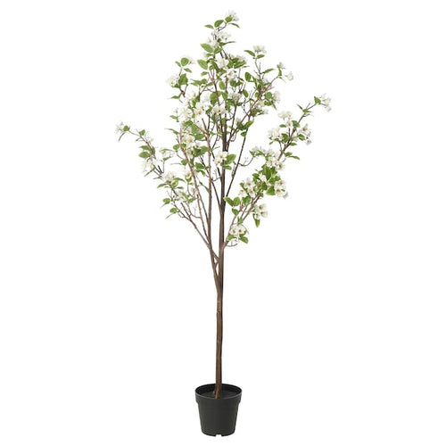 FEJKA - Artificial potted plant, in/outdoor apple tree, 19 cm