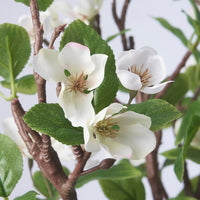 FEJKA - Artificial potted plant, in/outdoor apple tree, 19 cm - best price from Maltashopper.com 70571911
