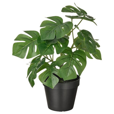 FEJKA - Artificial potted plant, in/outdoor Monstera, 12 cm - best price from Maltashopper.com 30493350