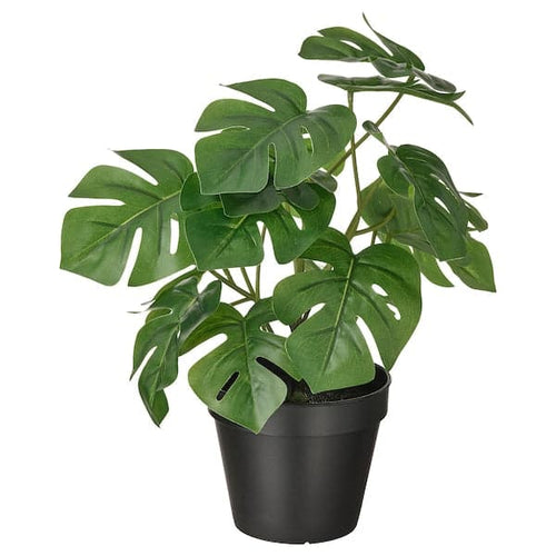 FEJKA - Artificial potted plant, in/outdoor Monstera, 12 cm