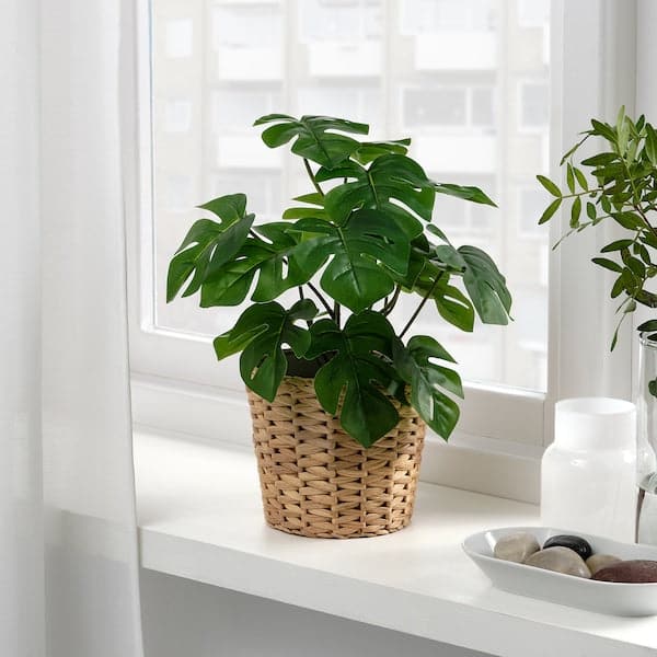 FEJKA - Artificial potted plant, in/outdoor Monstera