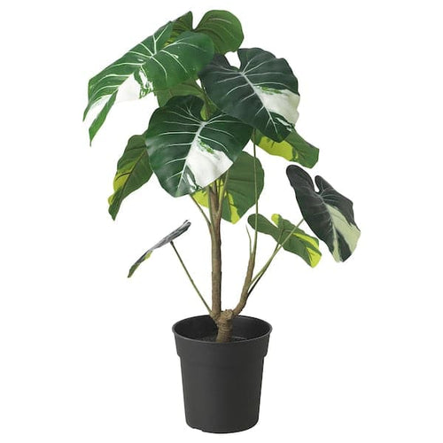 FEJKA - Artificial potted plant, in/outdoor Elephant ear, 19 cm