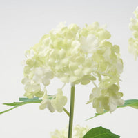 FEJKA - Artificial potted plant, in/outdoor snowball, 15 cm - best price from Maltashopper.com 60571695