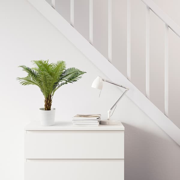 FEJKA - Artificial potted plant, in/outdoor Fern palm, 17 cm - best price from Maltashopper.com 10470458